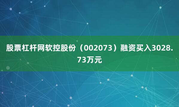 股票杠杆网软控股份（002073）融资买入3028.73万元